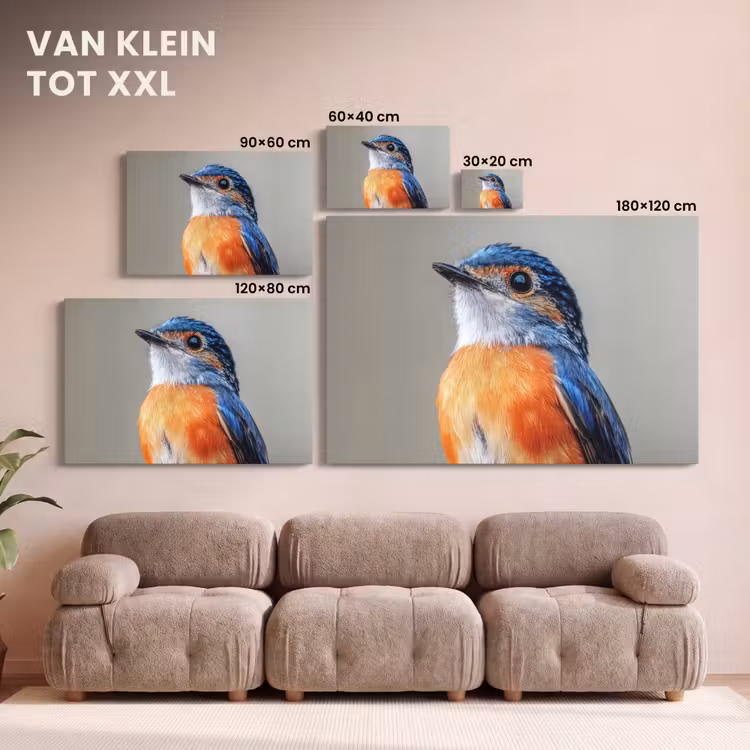Canvas schilderij - Kleurrijk - Vogeltje - Veren - Blauw — 8