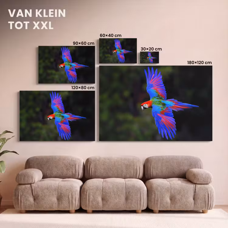 Canvas schilderij - Felgekleurd - Papegaai - Bos - Vleugels — 8