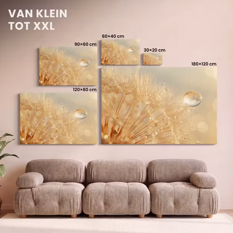Canvas schilderij - Paardenbloem - Water - Natuur - Planten - Modern — 8