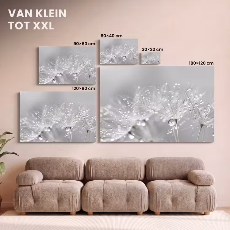 Canvas schilderij - Paardenbloem - Waterdruppels - Stilleven - Modern — 8