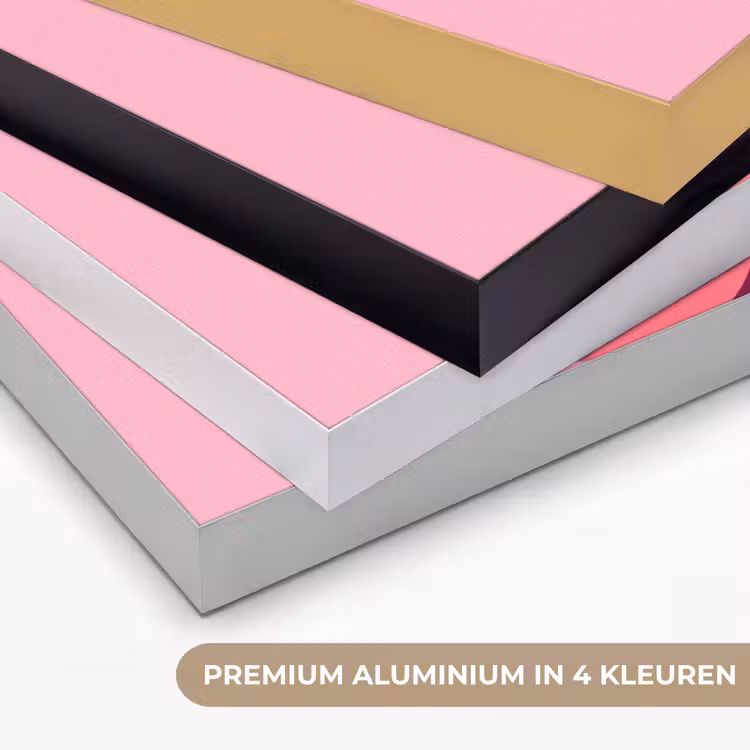 Art Frame - Abstract - Vormen - Roze - Modern - Design — 2
