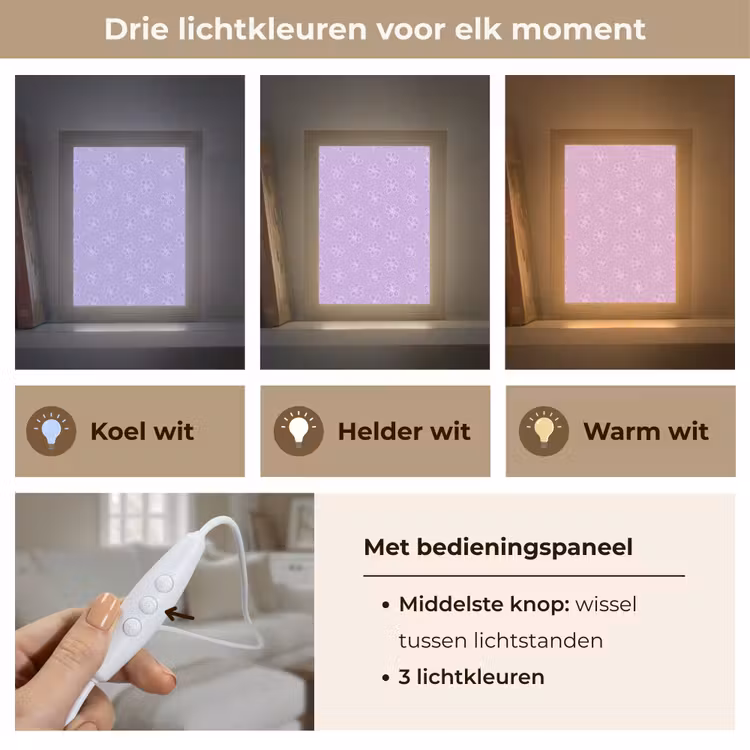 Gepersonaliseerde Lightbox - Lila - Botanisch - Bloemen - Handgetekend - Patroon — 6