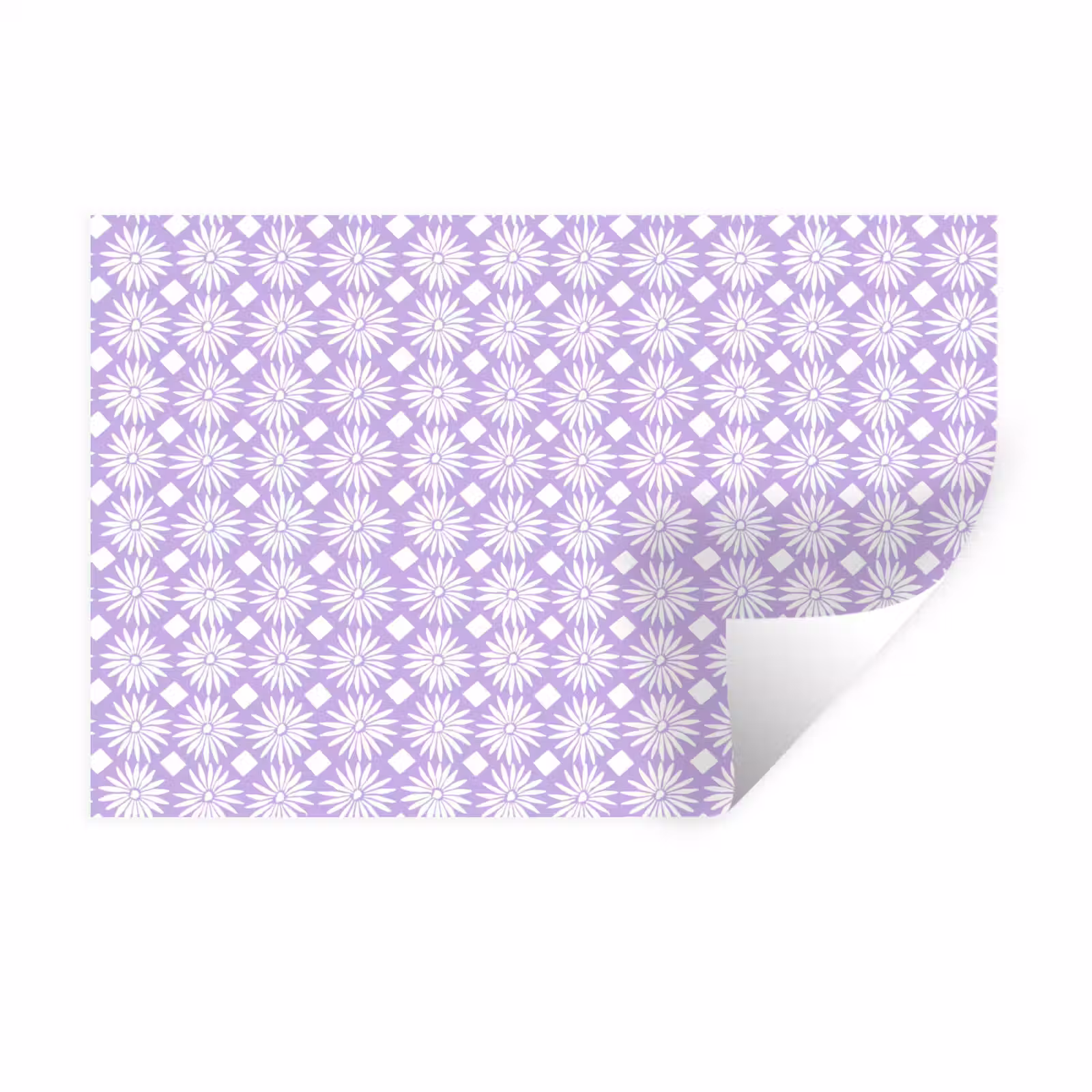 Muursticker - Lila - Botanisch - Bloemen - Margrieten - Patroon — 1