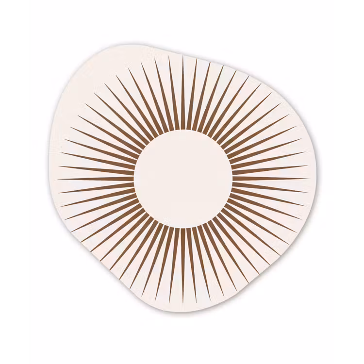 Organisch schilderij - Forex - Abstract - Zon - Symbool - Modern - Beige — 1