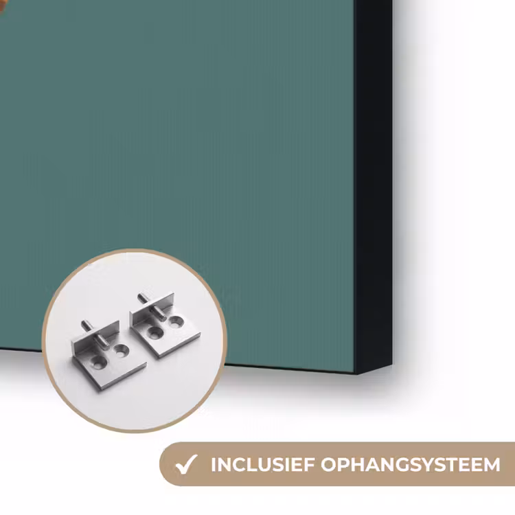 Art Frame - Dieren - Kop - Oranje - Illustratie - Modern — 6