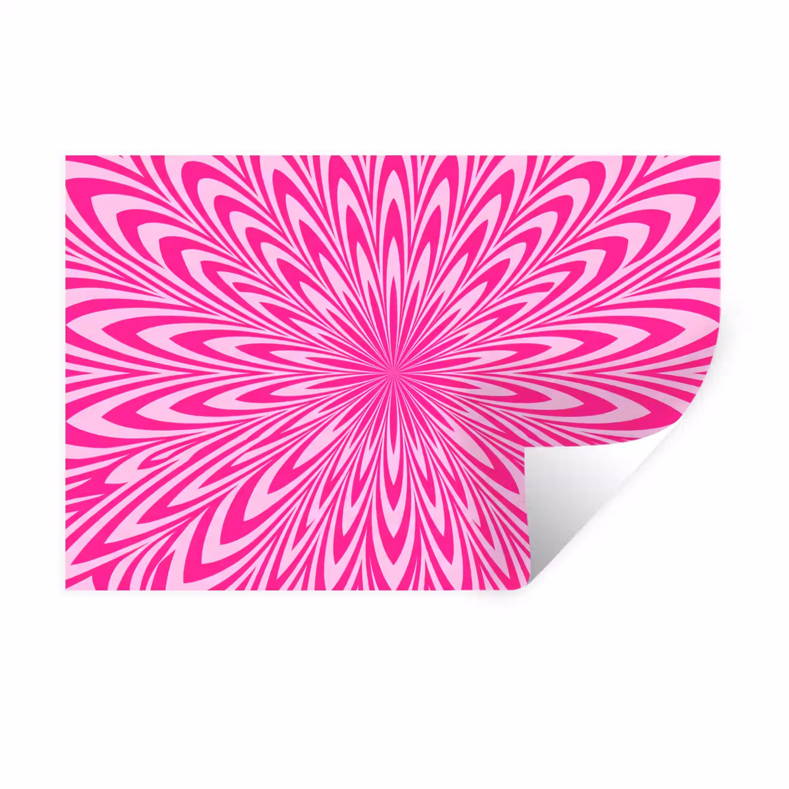 Muursticker - Patroon - Optisch - Roze — 1