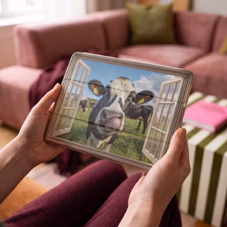 iPad hoes - Doorkijk - Koe - Weiland - Dieren - Natuur — 4