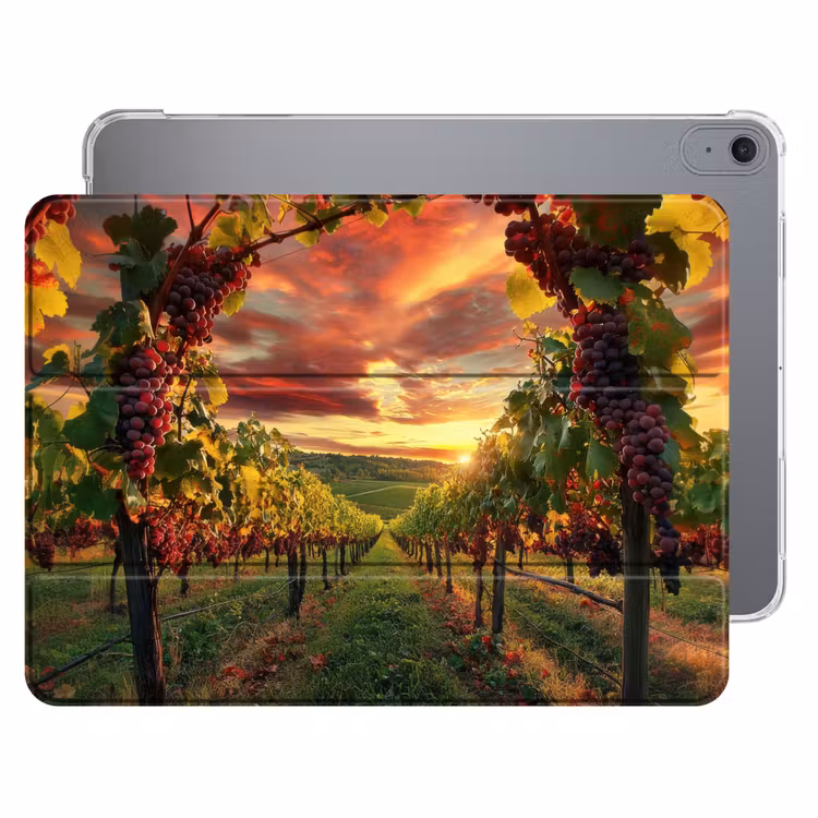 iPad hoes - Wijngaard - Druiven - Zonsondergang — 1