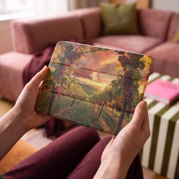 iPad hoes - Wijngaard - Druiven - Zonsondergang — 4
