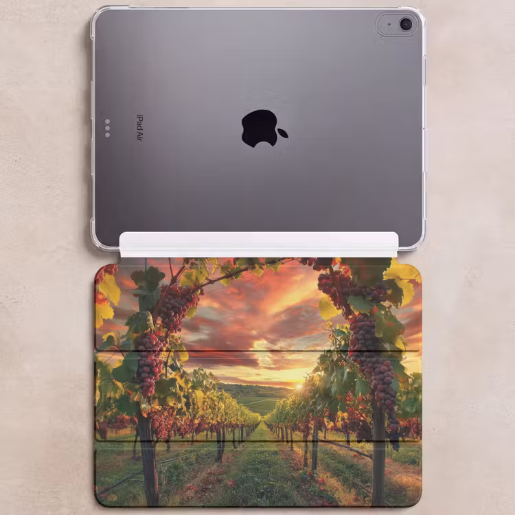 iPad hoes - Wijngaard - Druiven - Zonsondergang — 6