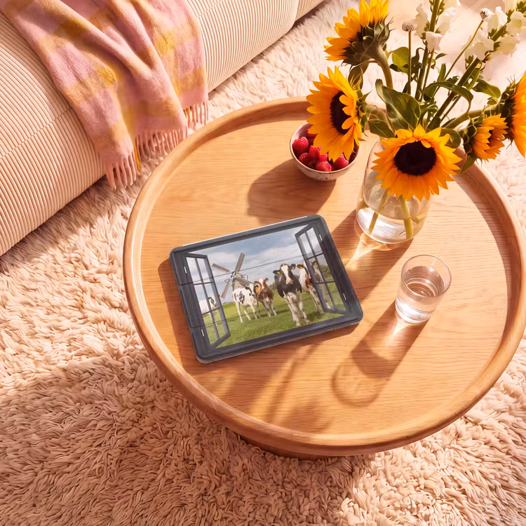 iPad hoes - Doorkijk - Koe - Molen - Koeien - Weiland - Gras - Groen — 2