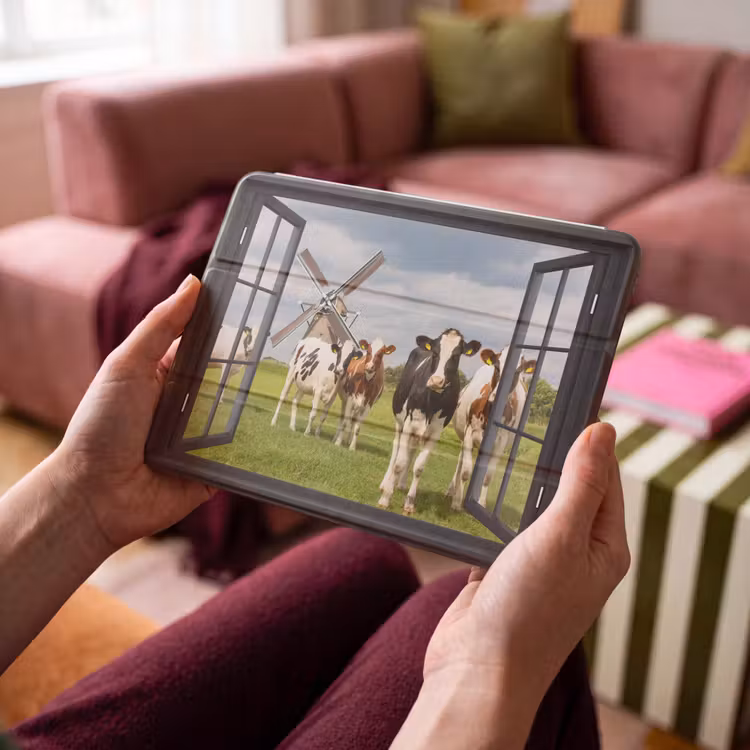 iPad hoes - Doorkijk - Koe - Molen - Koeien - Weiland - Gras - Groen — 4