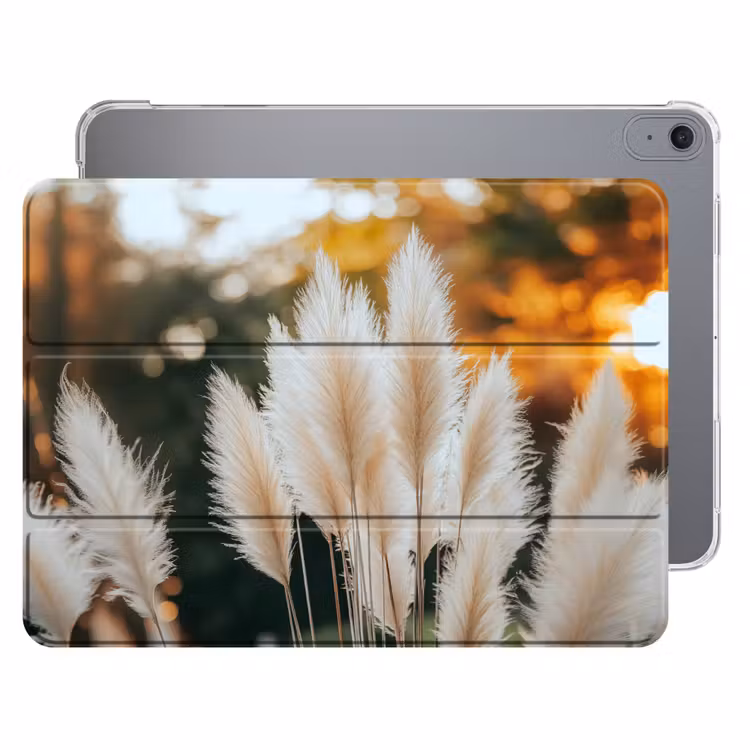 iPad hoes - Pampasgras - Pluimen - Sierlijk — 1
