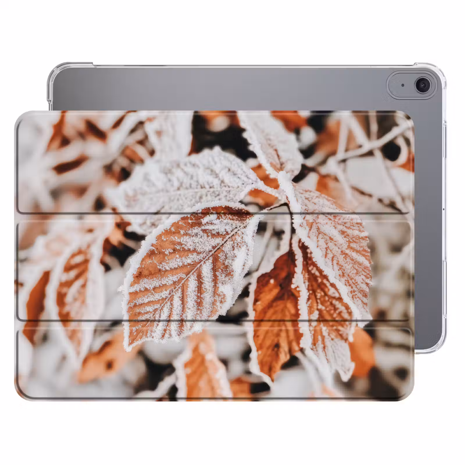 iPad hoes - Bladeren - IJs - Winter - Natuur — 1