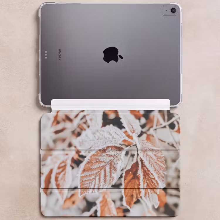iPad hoes - Bladeren - IJs - Winter - Natuur — 6