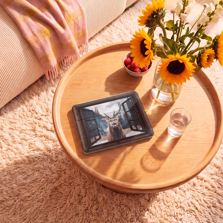 iPad hoes - Doorkijk - Hert - Dieren - Landschap - Winter - Sneeuw - Landelijk — 2