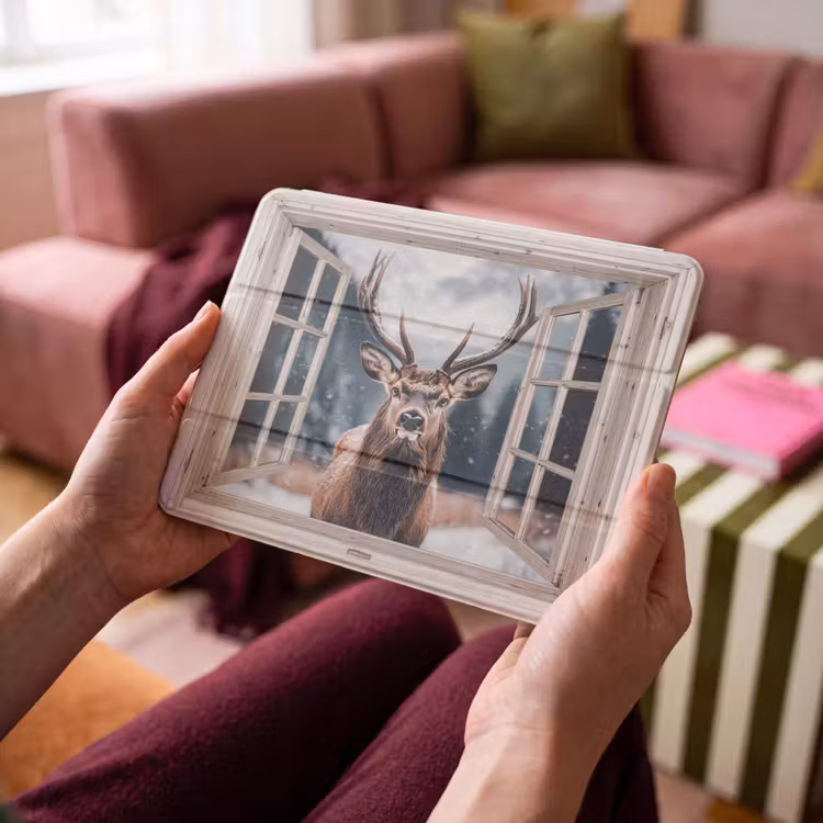 iPad hoes - Hert - Dieren - Landschap - Winter - Sneeuw - Doorkijk - Natuur — 4