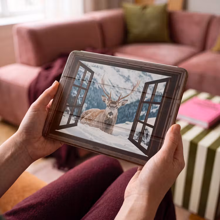 iPad hoes - Hert - Landschap - Winter - Natuur - Dieren - Doorkijk - Bergen — 4