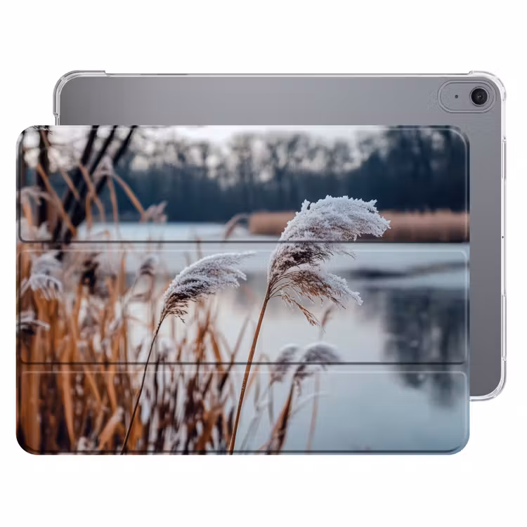 iPad hoes - Riet - Gras - Natuur - Winter - Meer — 1