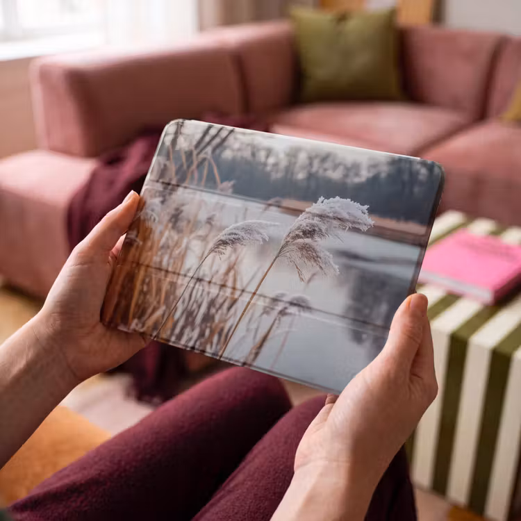 iPad hoes - Riet - Gras - Natuur - Winter - Meer — 4