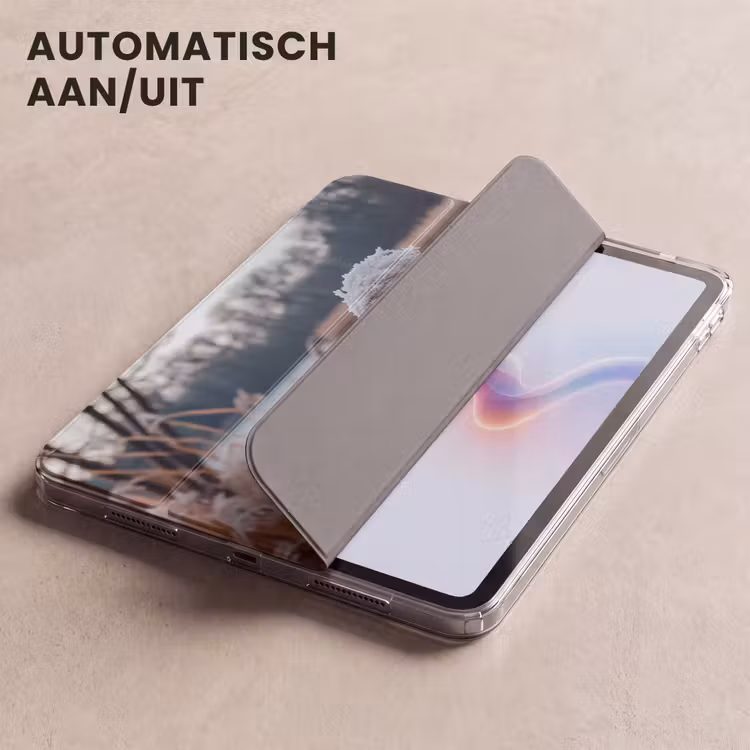 iPad hoes - Riet - Gras - Natuur - Winter - Meer — 5