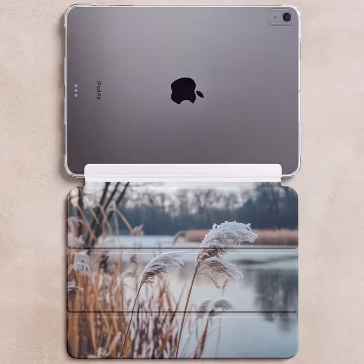 iPad hoes - Riet - Gras - Natuur - Winter - Meer — 6