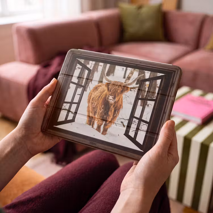 iPad hoes - Schotse Hooglander - Sneeuw - Natuur - Dieren - Doorkijk - Winter — 4