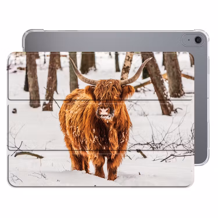 iPad hoes - Schotse Hooglander - Sneeuw - Winter - Natuur - Dieren — 1