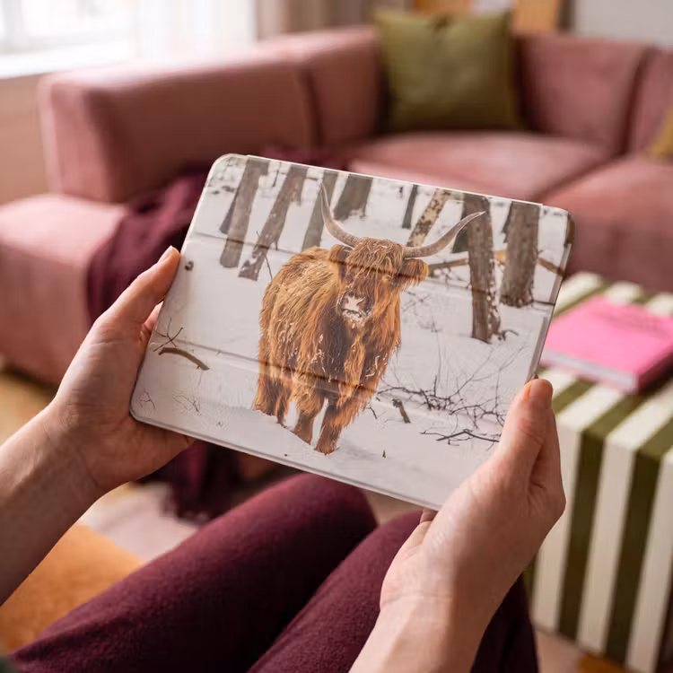 iPad hoes - Schotse Hooglander - Sneeuw - Winter - Natuur - Dieren — 4