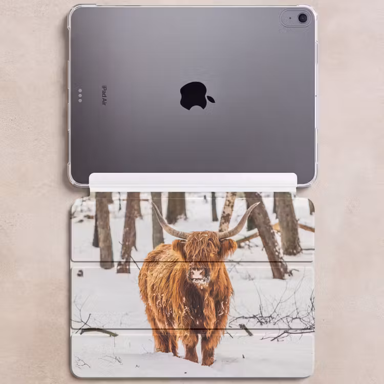 iPad hoes - Schotse Hooglander - Sneeuw - Winter - Natuur - Dieren — 6