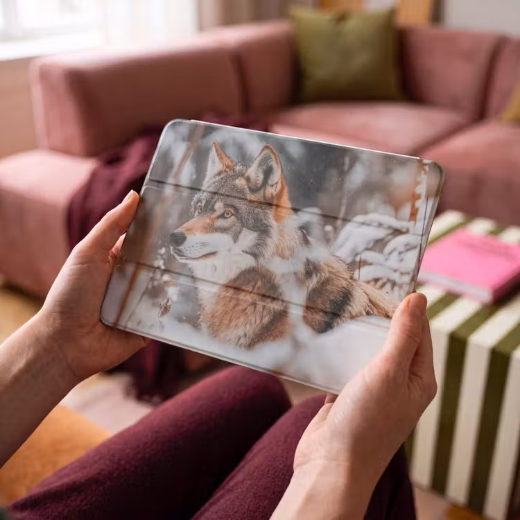 iPad hoes - Wolf - Sneeuw - Winter - Dieren - Natuur - Sneeuw — 4