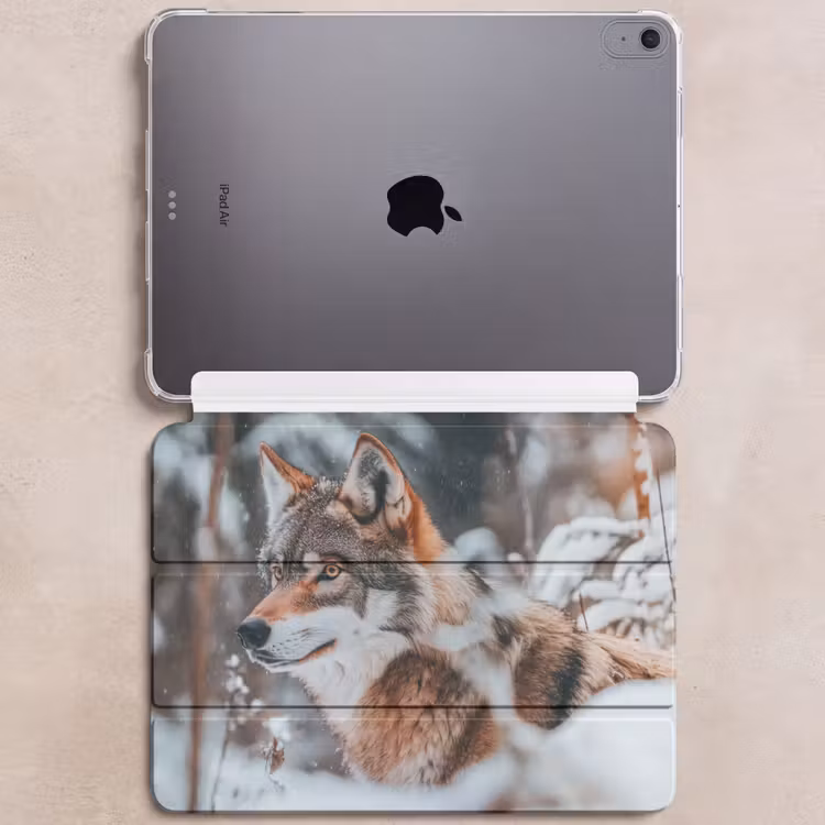 iPad hoes - Wolf - Sneeuw - Winter - Dieren - Natuur - Sneeuw — 6