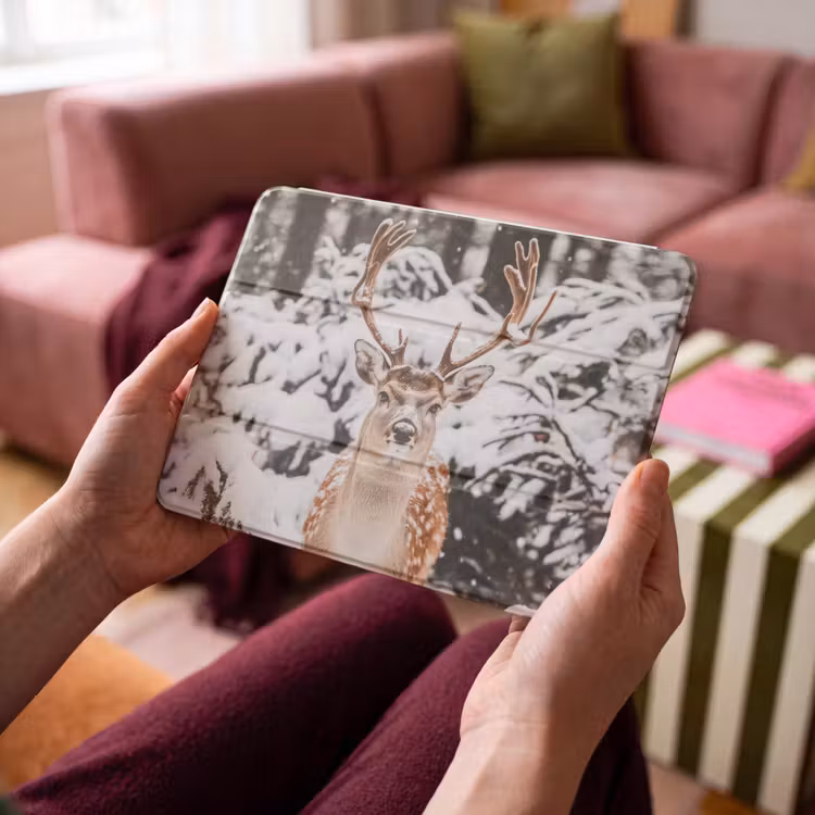 iPad hoes - Hert - Sneeuw - Winter - Bos - Dieren — 4