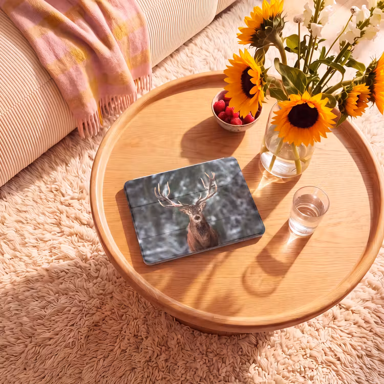 iPad hoes - Hert - Winter - Sneeuw - Bos - Natuur - Dier — 2