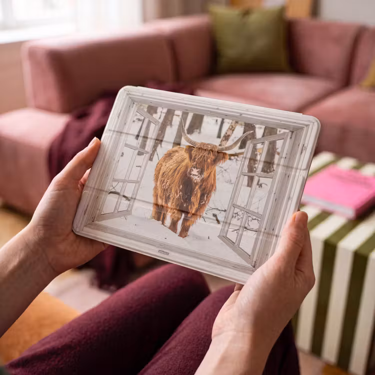 iPad hoes - Schotse Hooglander - Sneeuw - Winter - Natuur - Dier - Doorkijk - Landelijk — 4
