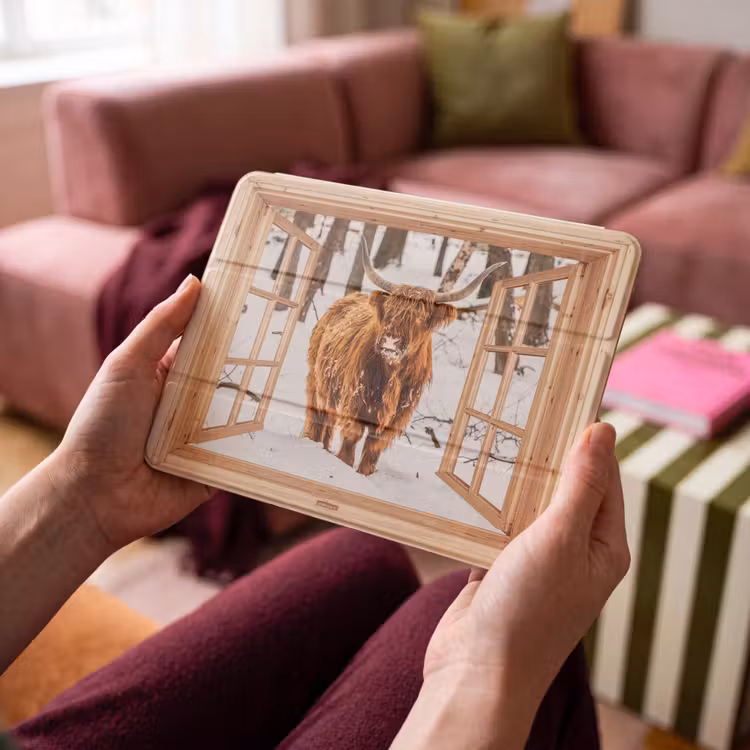 iPad hoes - Schotse Hooglander - Winter - Landschap - Natuur - Dieren - Doorkijk — 4