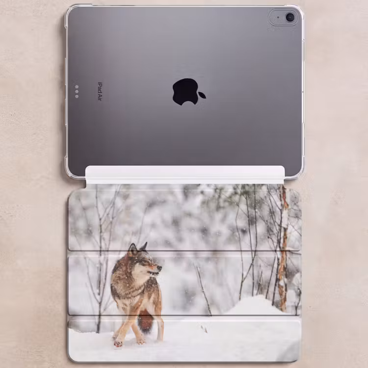 iPad hoes - Wolf - Winter - Sneeuw - Natuur - Dieren — 6