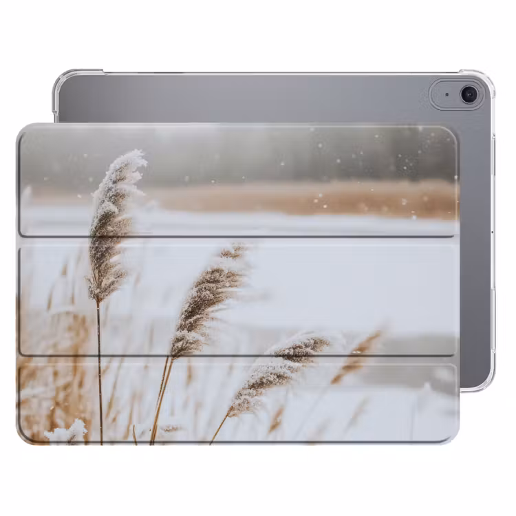 iPad hoes - Riet - Meer - Winter - Natuur - Sneeuw - Beige — 1