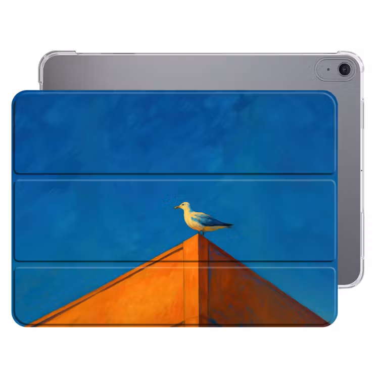 iPad hoes - Meeuw - Gebouw - Lucht - Geschilderd — 1