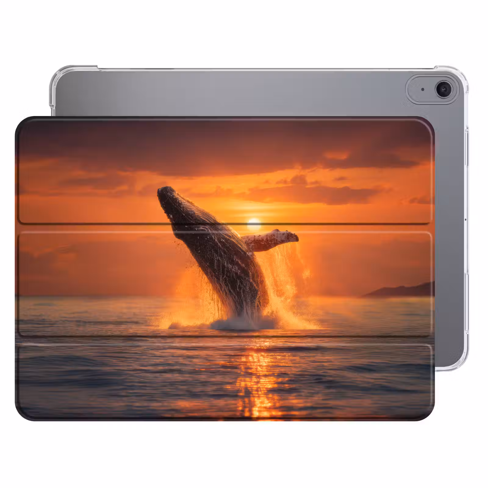 iPad hoes - Walvis - Zon - Zee — 1