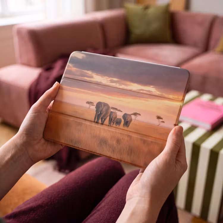 iPad hoes - Groep olifanten - Open vlakte - Zon — 4