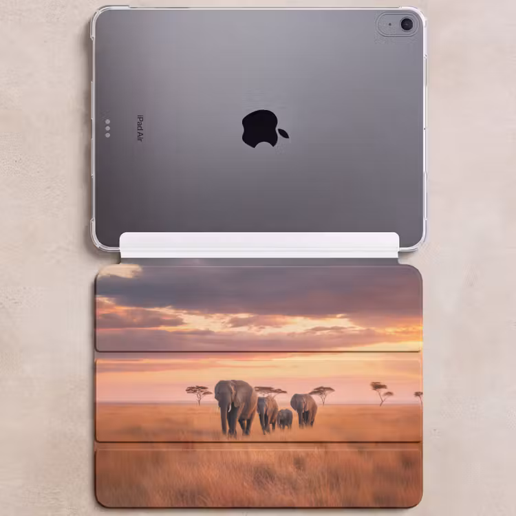 iPad hoes - Groep olifanten - Open vlakte - Zon — 6