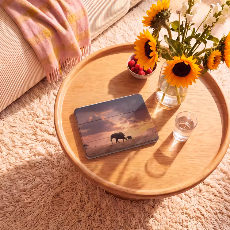 iPad hoes - Olifanten - Grasland - Zonsondergang — 2