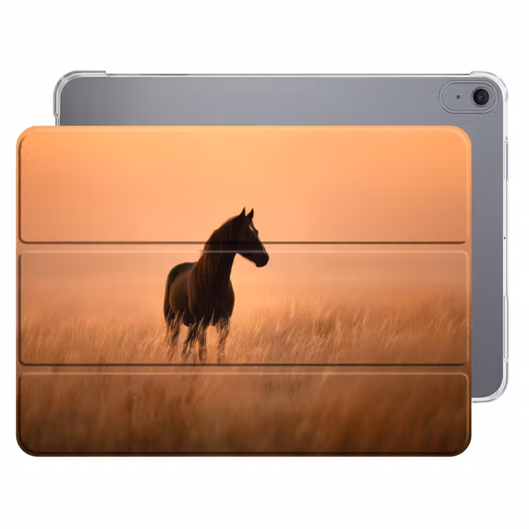 iPad hoes - Paard - Grasveld - Zonsondergang — 1