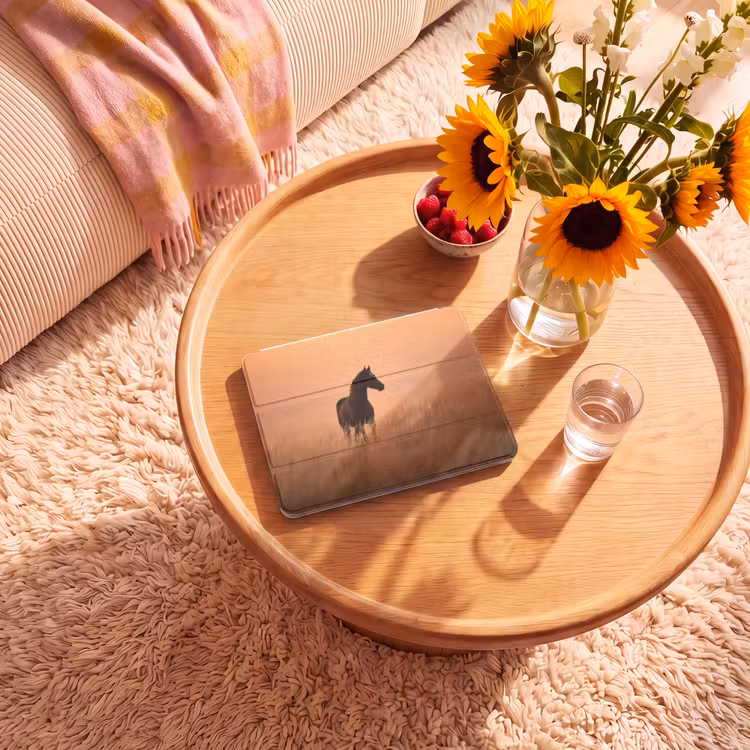 iPad hoes - Paard - Grasveld - Zonsondergang — 2