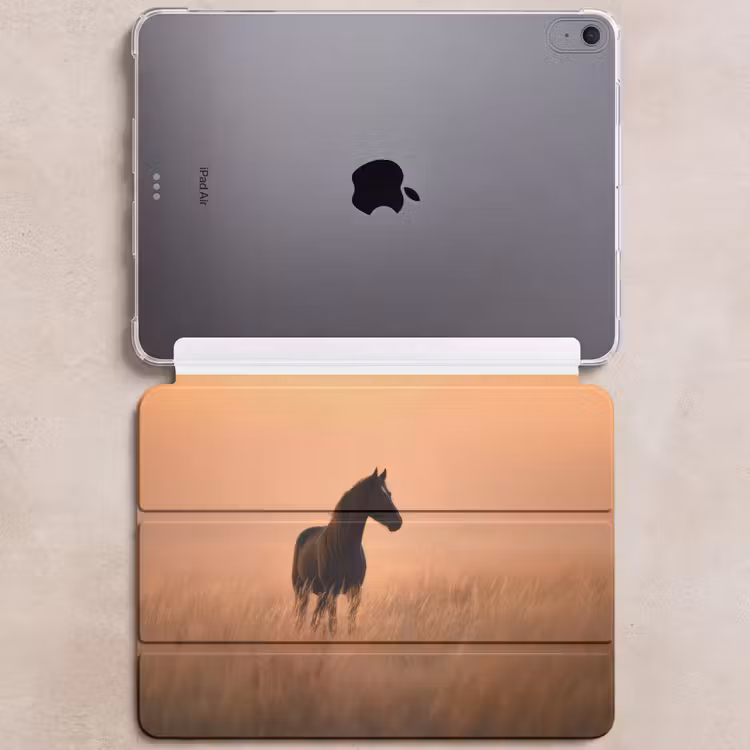 iPad hoes - Paard - Grasveld - Zonsondergang — 6