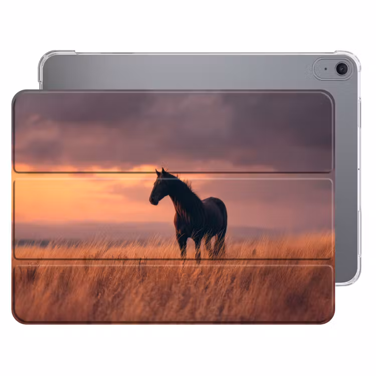 iPad hoes - Paard - Wolken - Open veld — 1