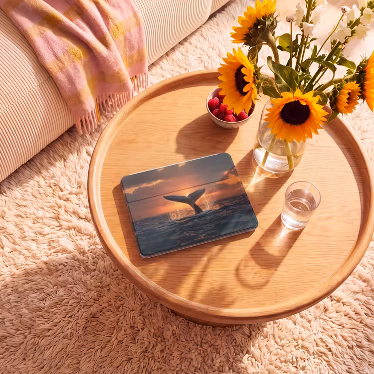 iPad hoes - Walvis staart - Water - Zonsondergang — 2