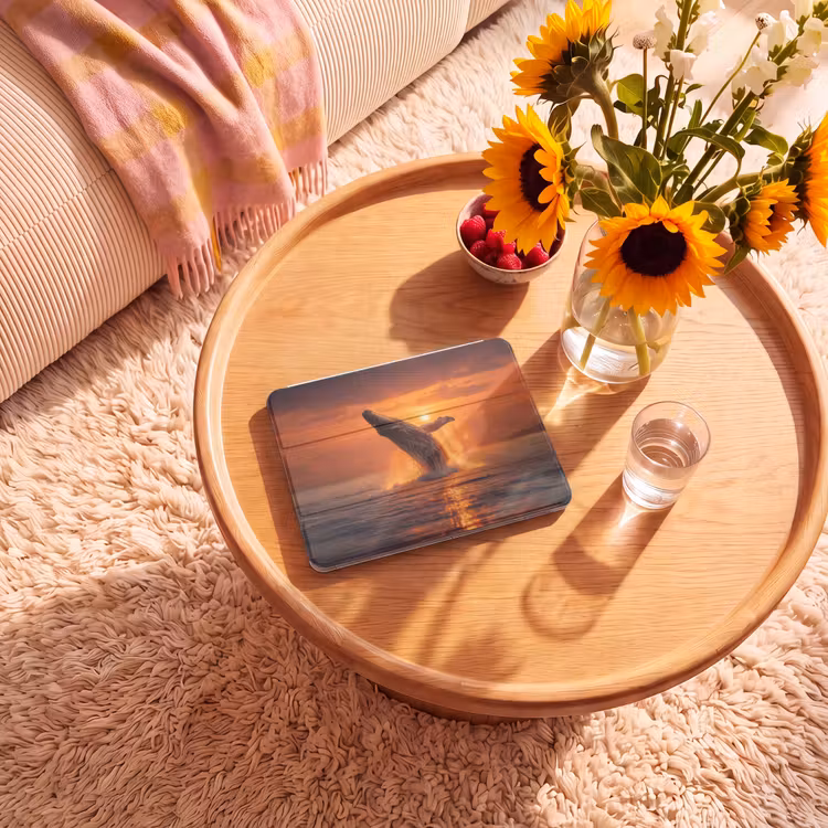 iPad hoes - Walvis - Zon - Zee — 2