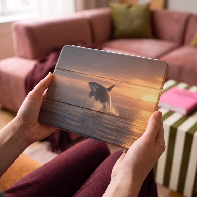 iPad hoes - Orka - Zee - Zonsondergang — 4
